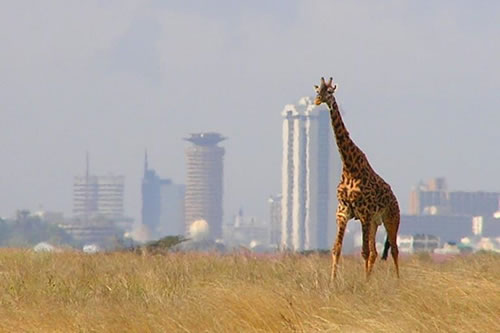nairobi city tours