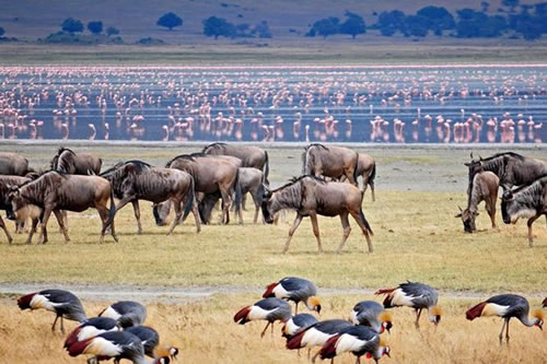 lake manyara