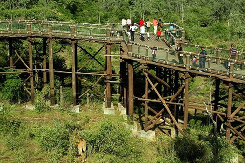 nairobi safari walk
