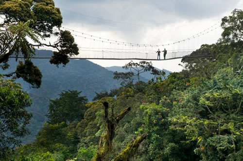 nyungwa national park