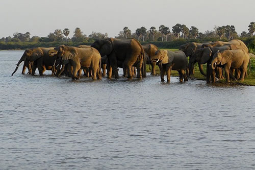 selous game reserve